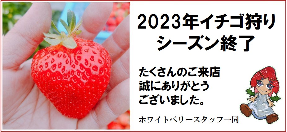 2024N낵肢܂II
